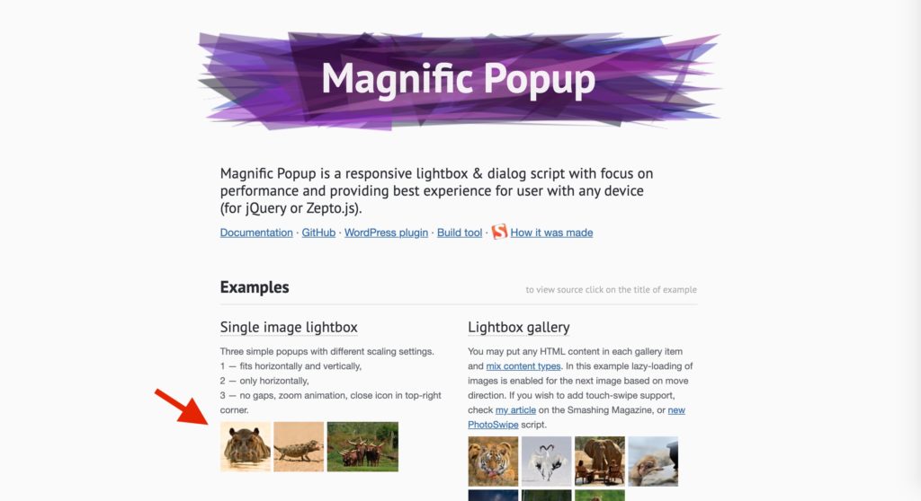 magnific popupの画像