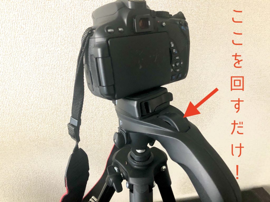 compact actionの画像
